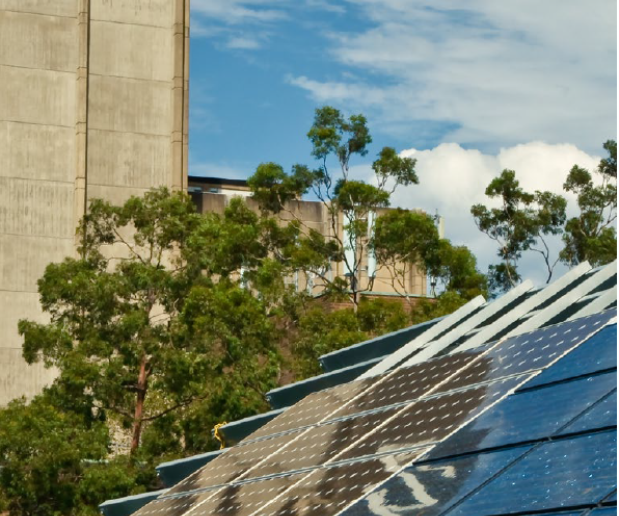 2013 Sustainability Report