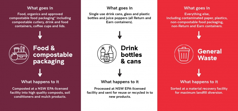 Three Bin System Infographic