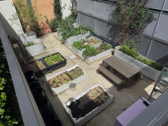 community garden