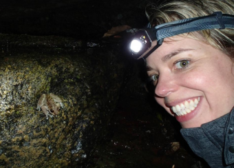 Jodi Rowley and Waterfall Frog Litoria nannotis QLD, Jodi Rowley