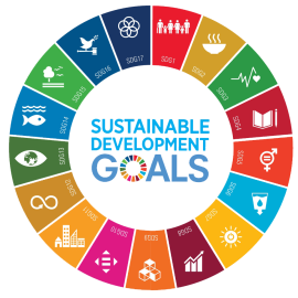 SDG Modules 