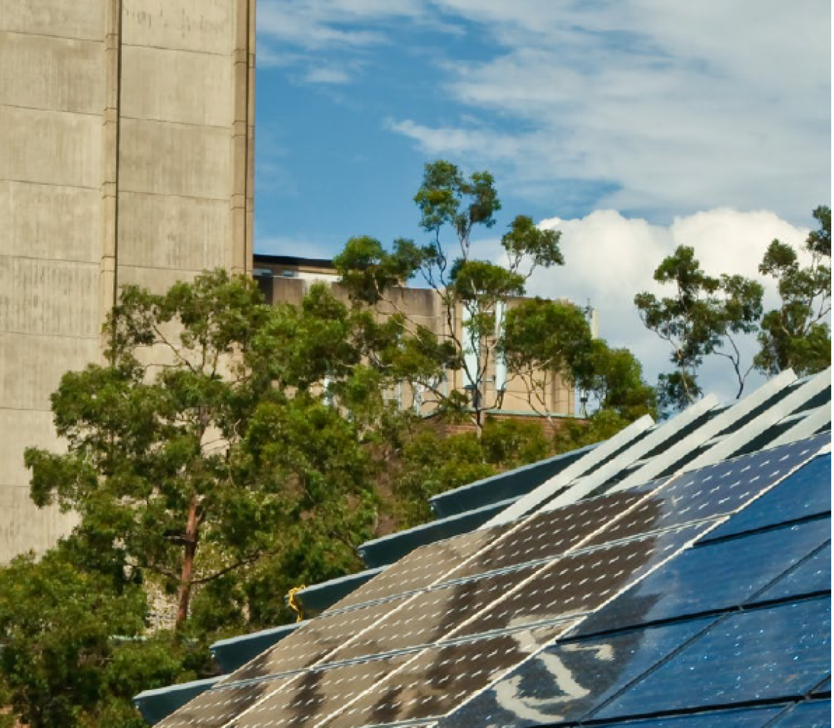 2013 Sustainability Report