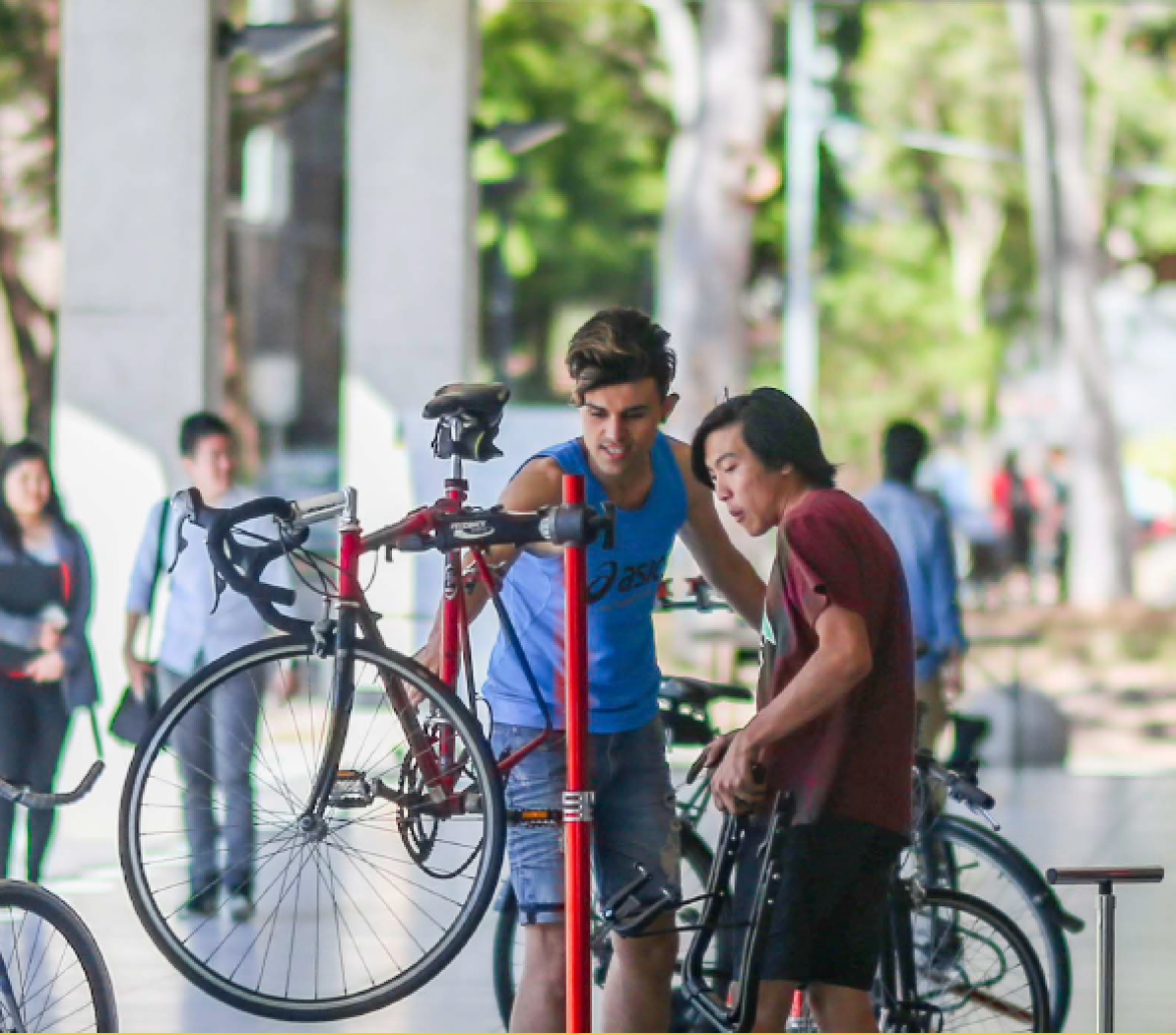 2014 Sustainability Report