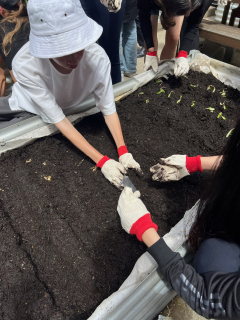 student planting seeds