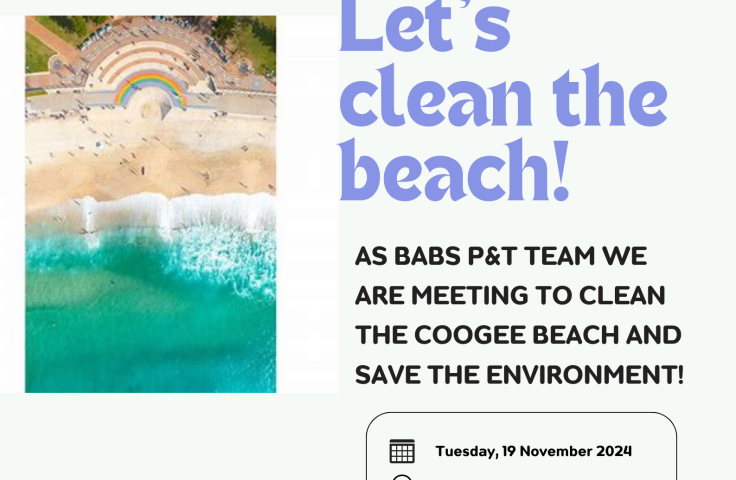 BABS Beach clean poster
