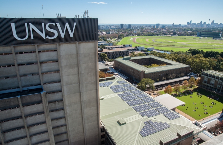 UNSW celebrates progress on World Environment Day