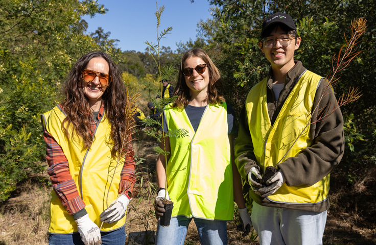 three people standing up with small trees to plant