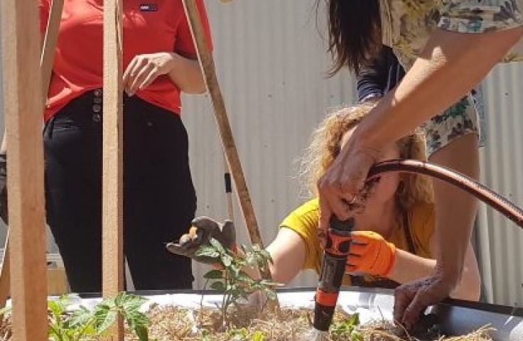 UNSW Urban Growers watering the garden