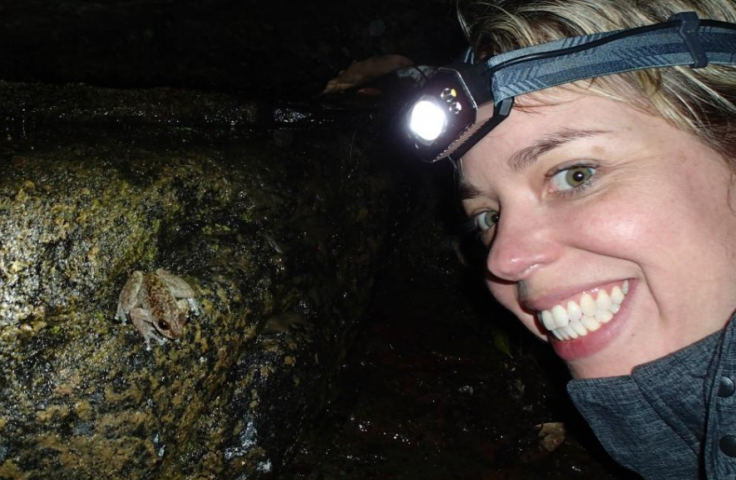 Jodi Rowley and Waterfall Frog Litoria nannotis QLD, Jodi Rowley