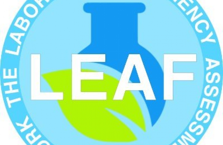 Leaf logo