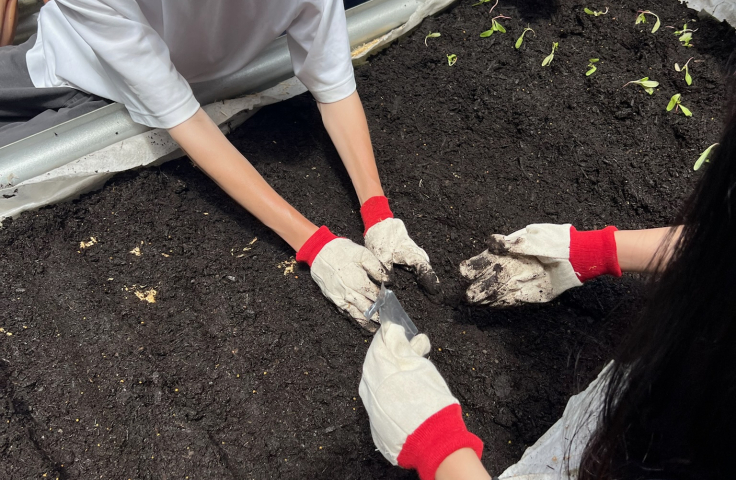 student planting seeds